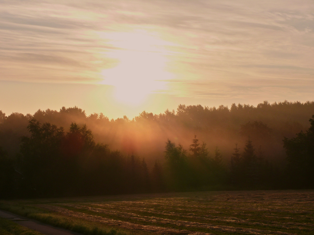 What I Mean When I Say “Supernatural”