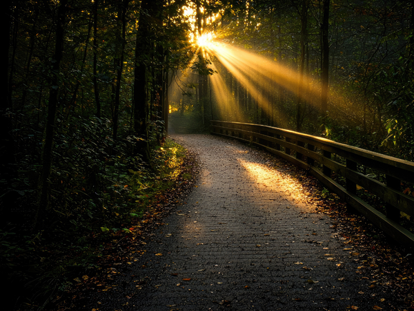 Discernment Isn’t Drama — It’s Daily Life